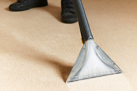 Cleaning a Carpet