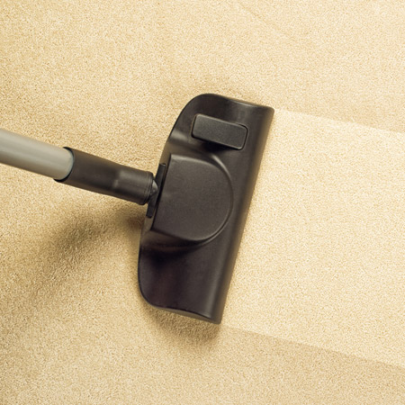 Clean Vacuumed Carpet Stripe